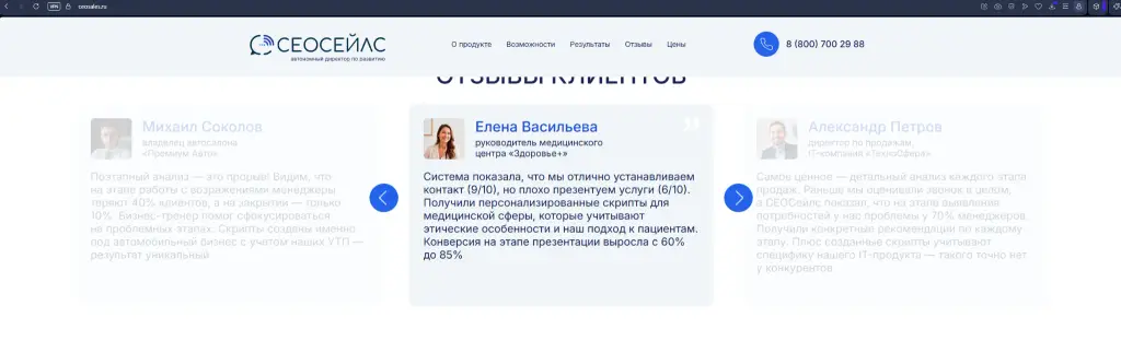 ооо ии стратегия сеосейлс