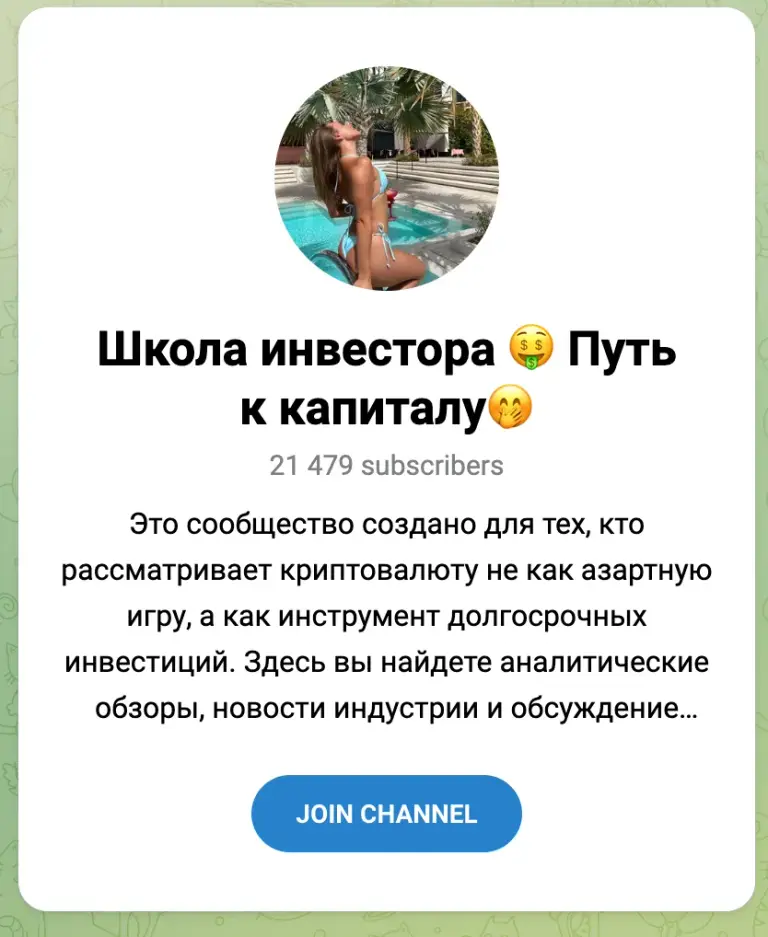 школа инвестора путь к капиталу