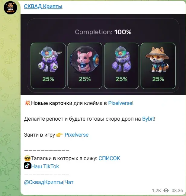 СКВАД Крипты