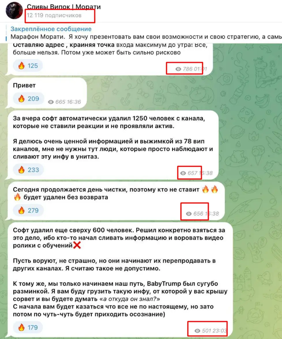Сливы Випок Морати Сливы Випок Морати