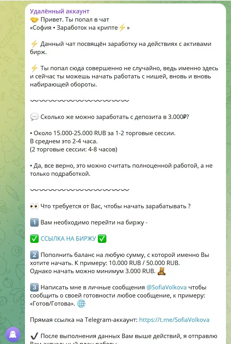 София Волкова трейдер