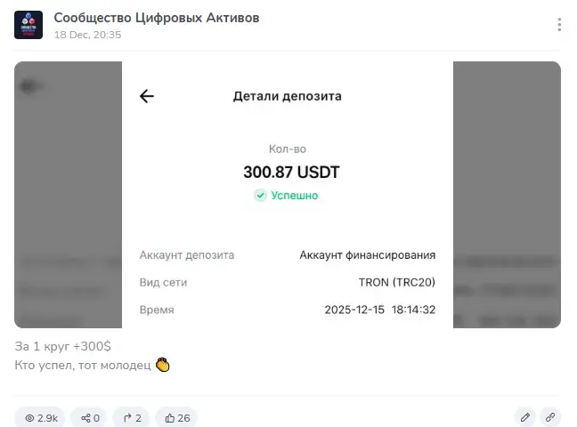Сообщество Цифровых Активов