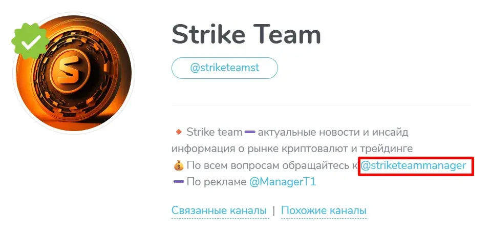st crypto bingx отзывы