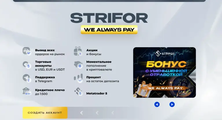отзывы strifor