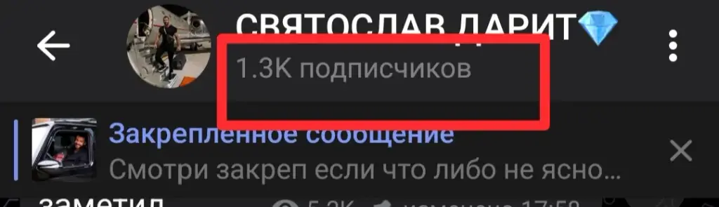 святослав дарит отзывы