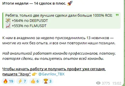 Gavrilov TBX