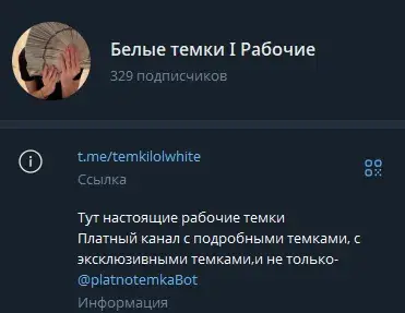 белые темки для заработка без вложений