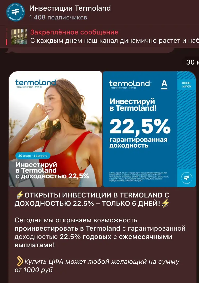 термоленд инвестиции