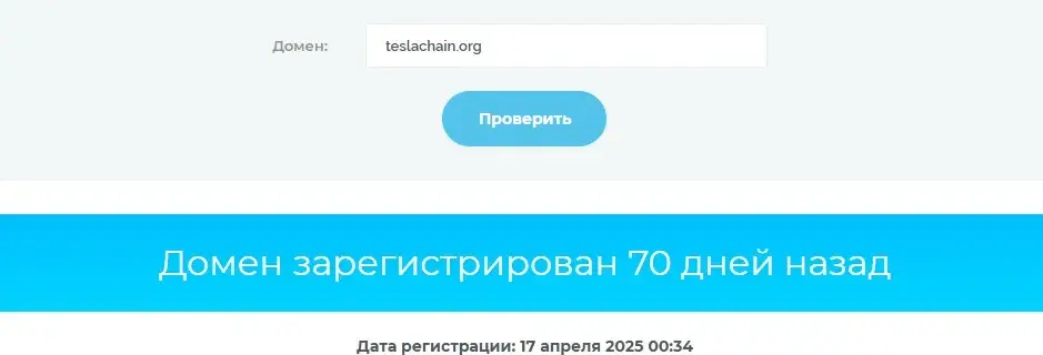 teslachain net