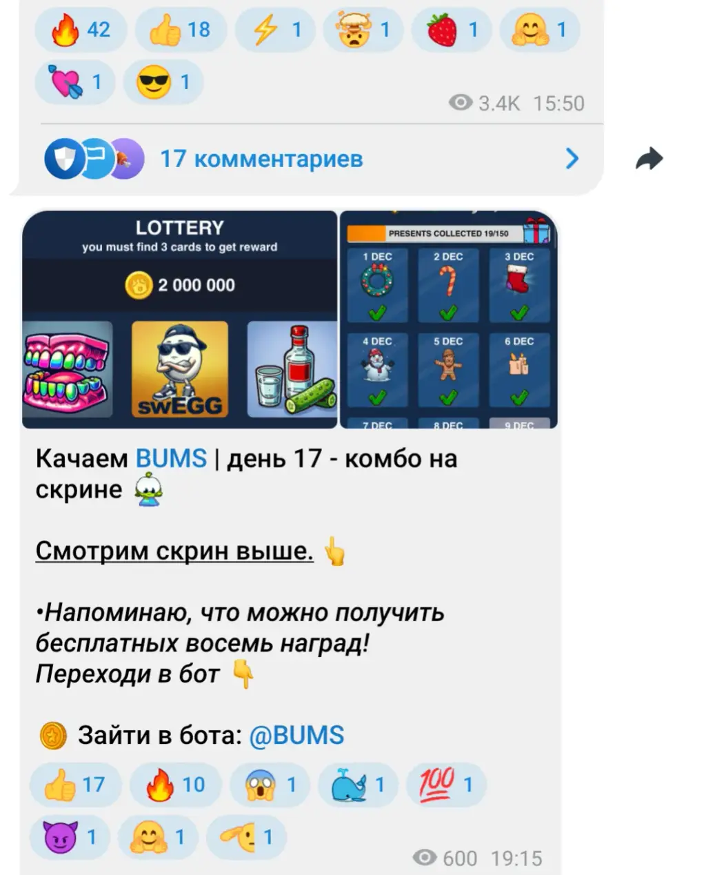 tg majorka тг