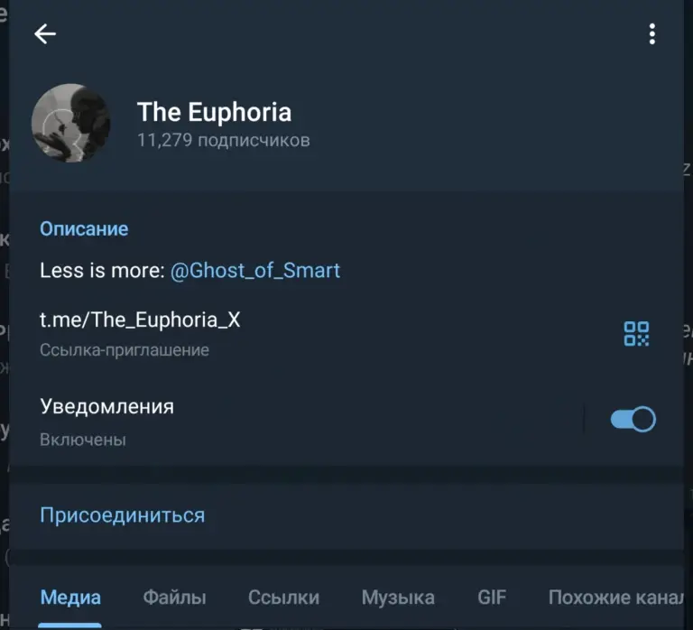 The Euphoria x