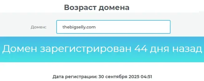 thebigselly биржа