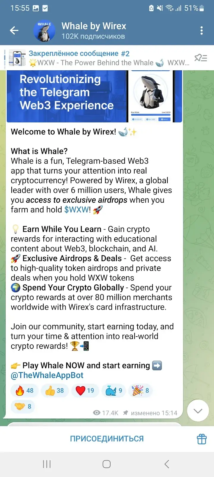 the whale app bot the whale app bot