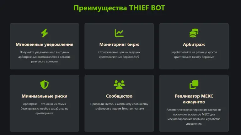 thief bot