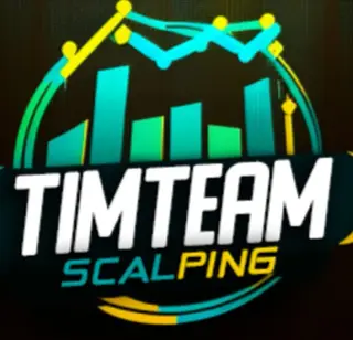 TIMTEAM — отзывы и рейтинг