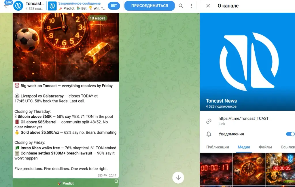 Toncast TCAST bot