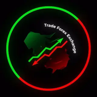 Trade Forex Exchange — отзывы и рейтинг