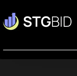 Stgbid — отзывы и рейтинг