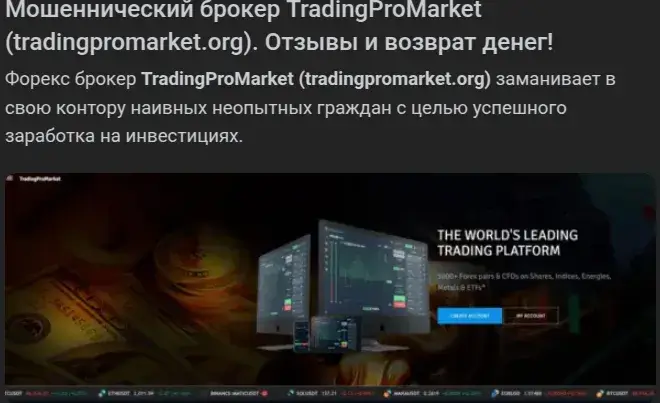 tradingpromarket org