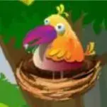 Tropical Birds — отзывы и рейтинг