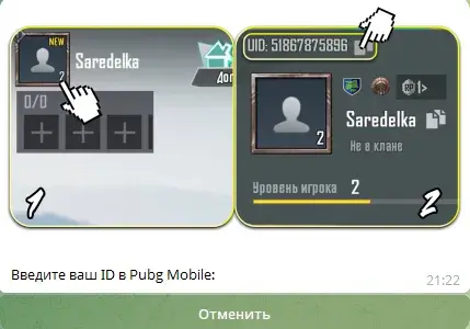 ucmarket24 bot отзывы ucmarket24 bot отзывы