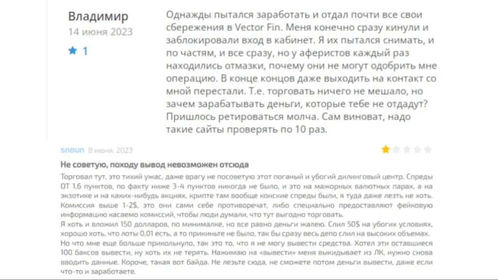 Вектор Фин отзывы