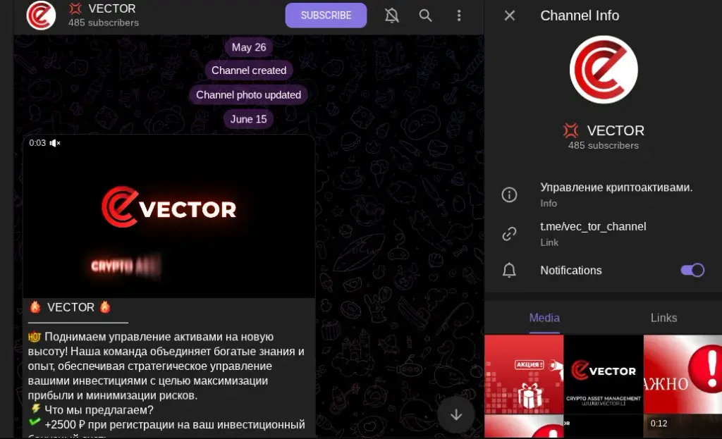 vector li отзывы
