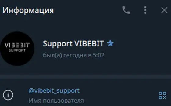 vibe bit отзывы