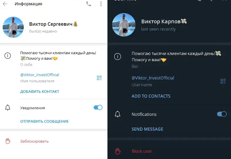 viktor investofficial