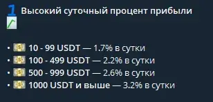 vision profit vision profit