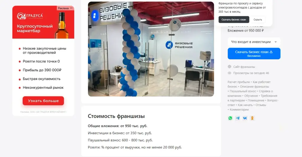 визовые решения франшиза