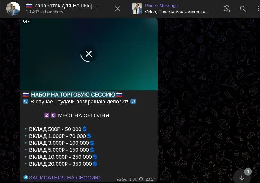 vladimir progress отзывы