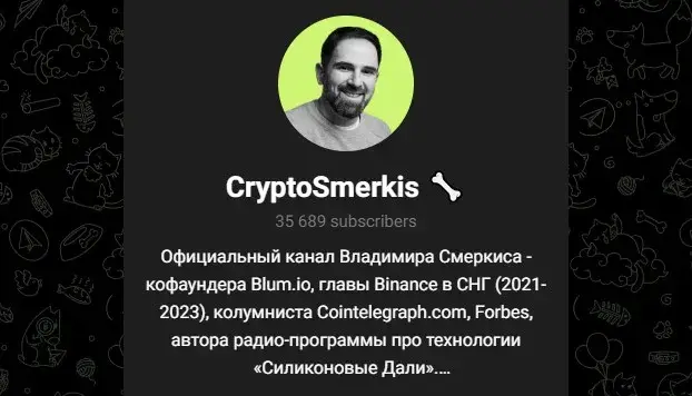 владимир смеркис blum
