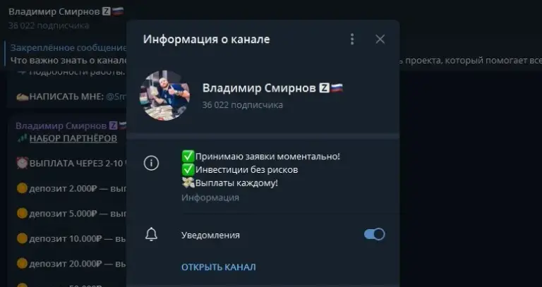 владимир смирнов инвестор