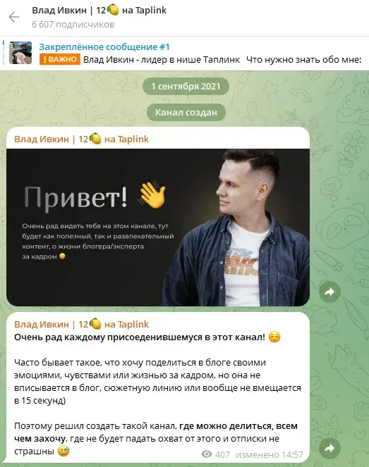 влад ивкин таплинк курс отзывы