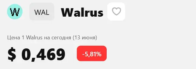 walrus xyz
