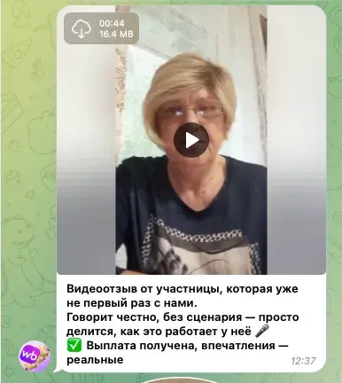 WB Платит