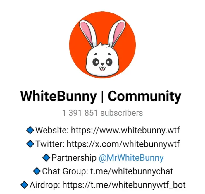 whitebunny игра
