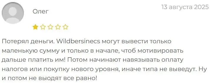 wildbersinecs заработок