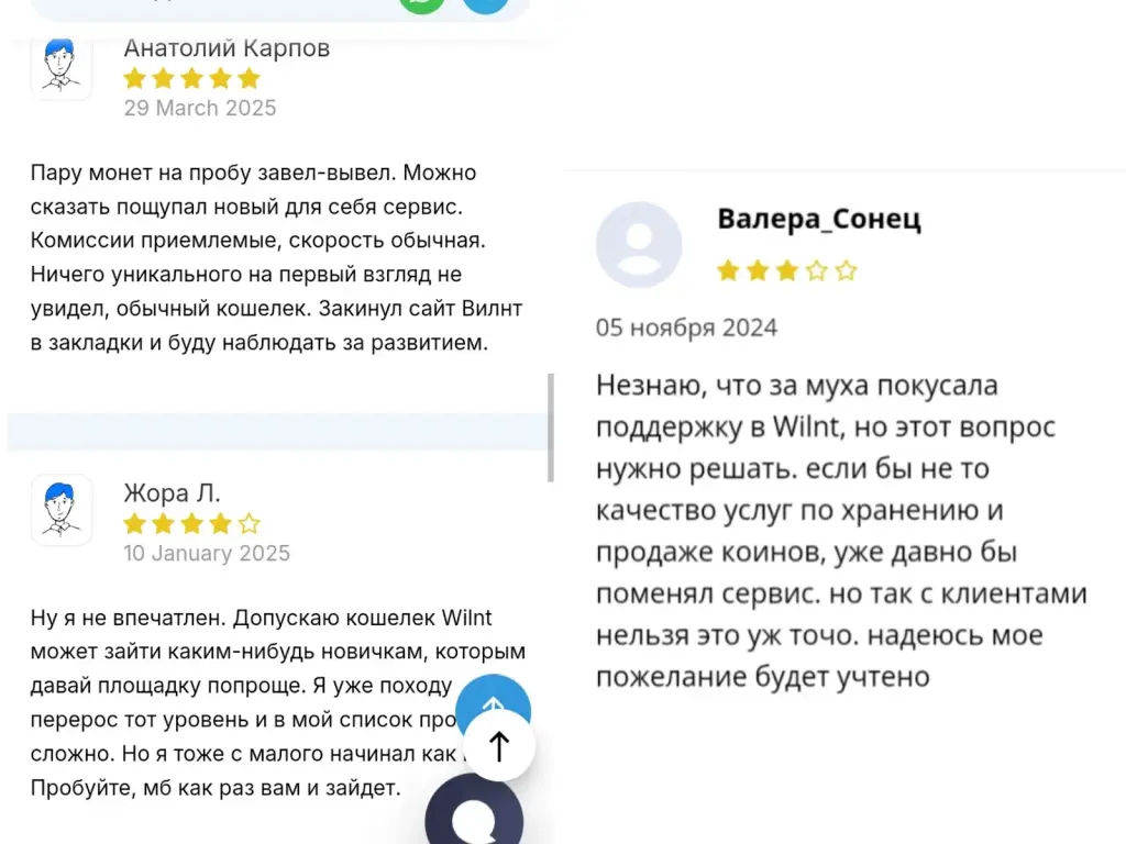 wilnt кошелек wilnt кошелек