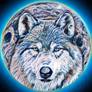 Winter Wolves Trading — отзывы и рейтинг