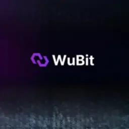 Wubit Wubit — отзывы и рейтинг