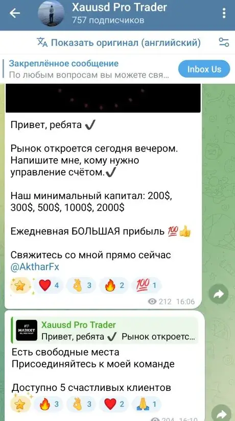 Xauusd pro trader