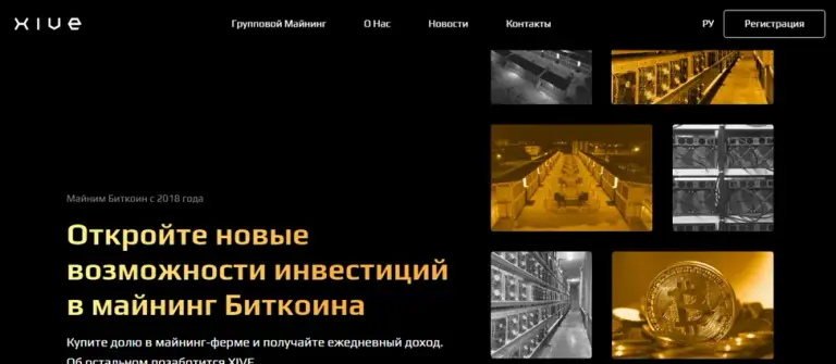 Официальный сайт Xive Официальный сайт Xive