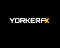 Yorker Capital — отзывы и рейтинг