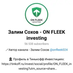 Залим Сохов — On Fleek Investing — отзывы и рейтинг