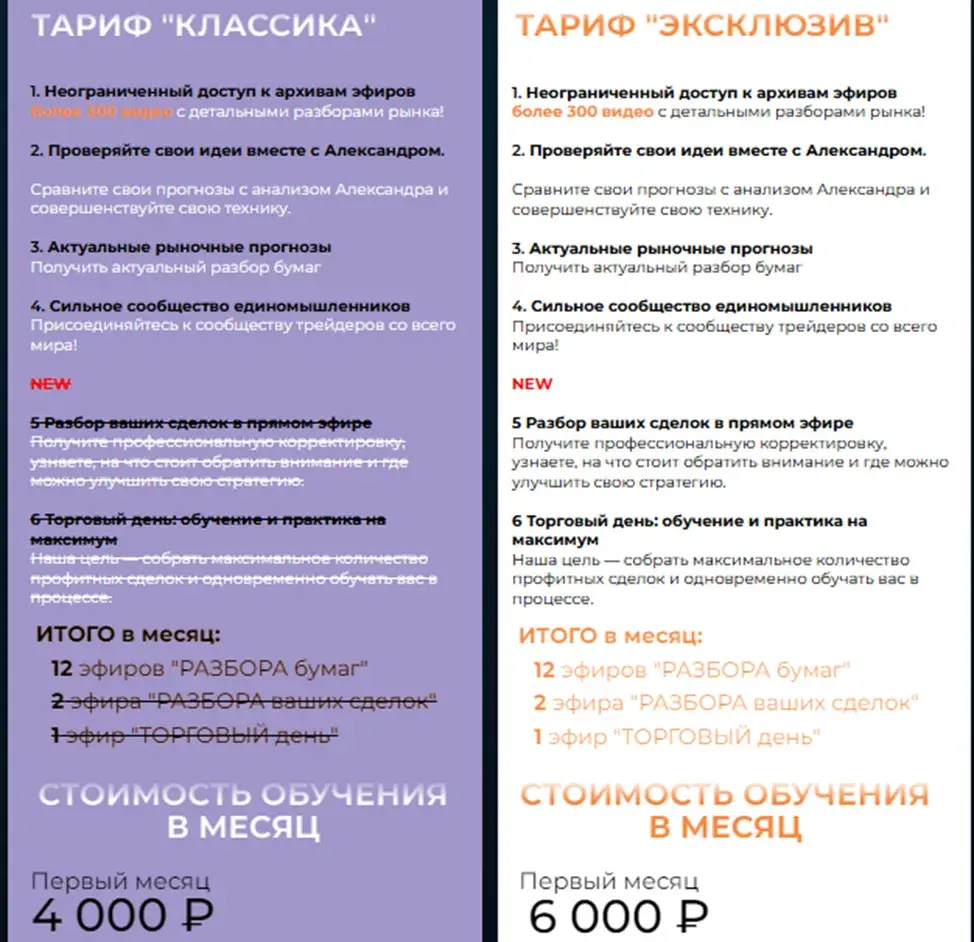 александр пурнов базовый курс vsa