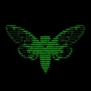 Zicelaqo — отзывы и рейтинг